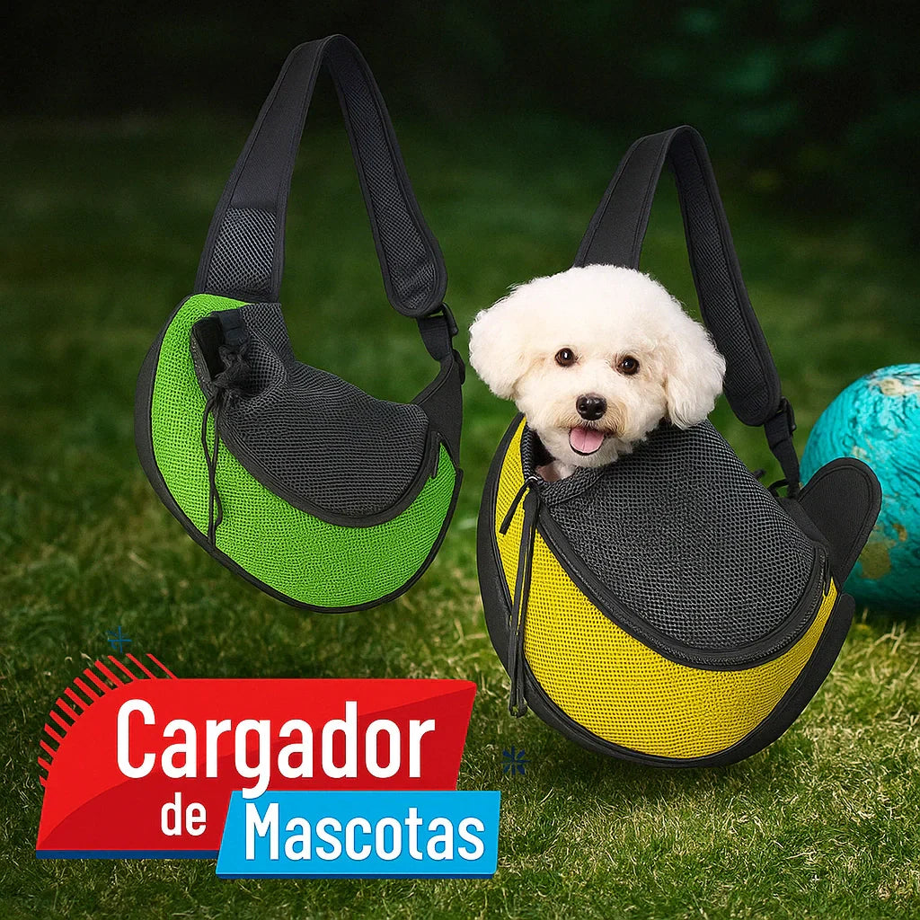 Pet sitter